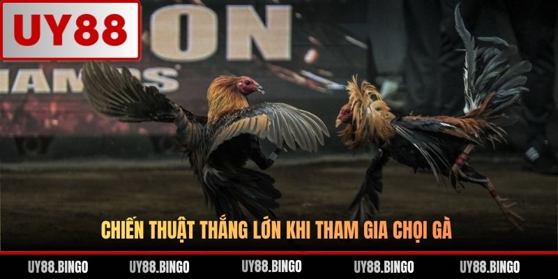 Đá Gà UY88 - Trải Nghiệm Cá Cược Gà Chọi Đỉnh Cao Top 1 ĐNA