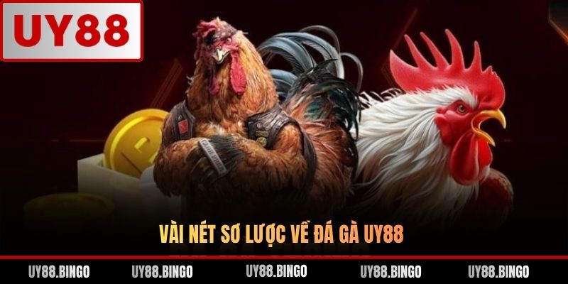 Đá Gà UY88 - Trải Nghiệm Cá Cược Gà Chọi Đỉnh Cao Top 1 ĐNA